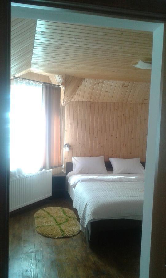 Cottage Palitra Yablunytsia Dış mekan fotoğraf