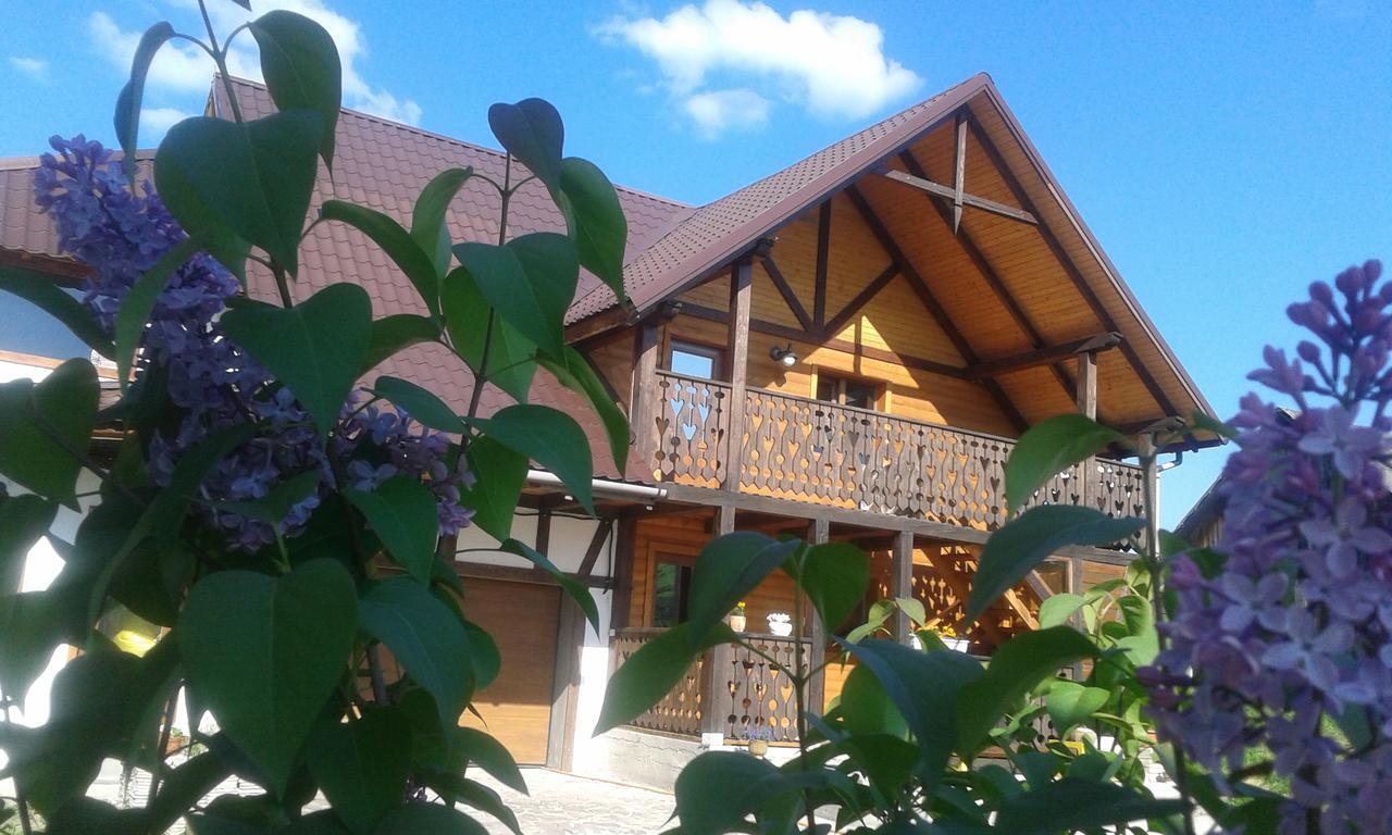 Cottage Palitra Yablunytsia Dış mekan fotoğraf