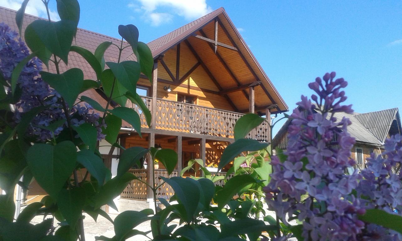 Cottage Palitra Yablunytsia Dış mekan fotoğraf